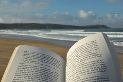 Creative Commons license from: https://www.publicdomainpictures.net/en/view-image.php?image=106698&picture=reading-a-book-on-the-beach